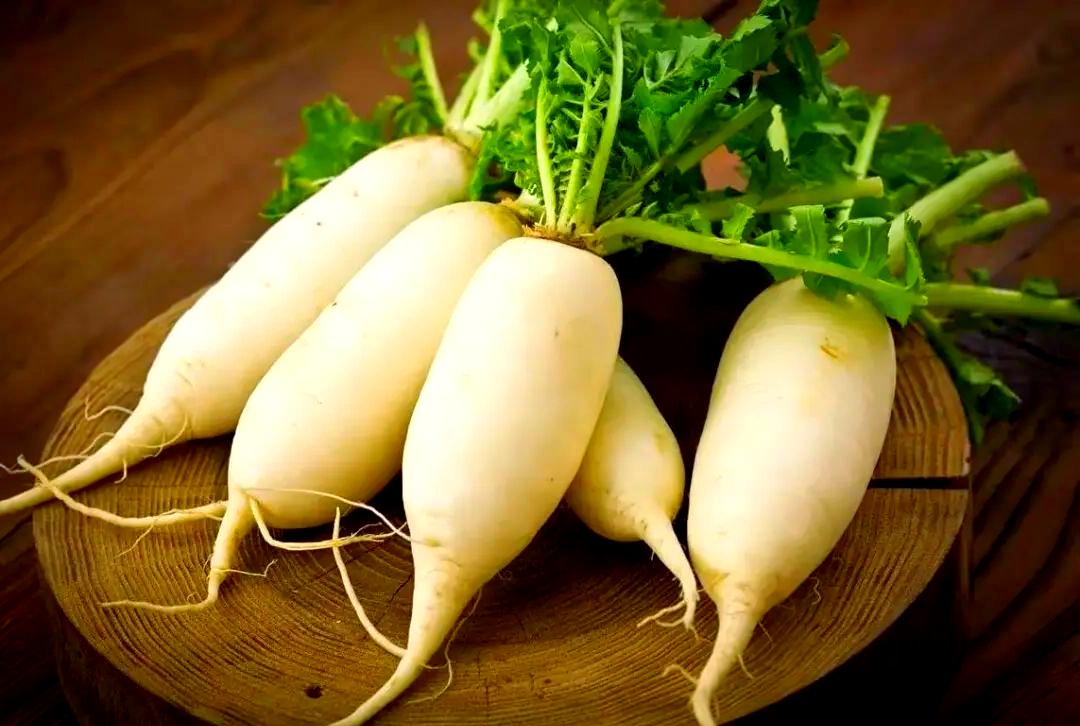 白萝卜.jpeg